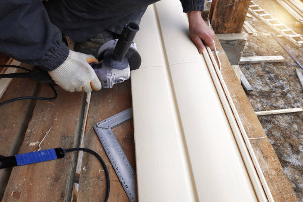 Best Insulated Siding Installation  in Potterville, MI